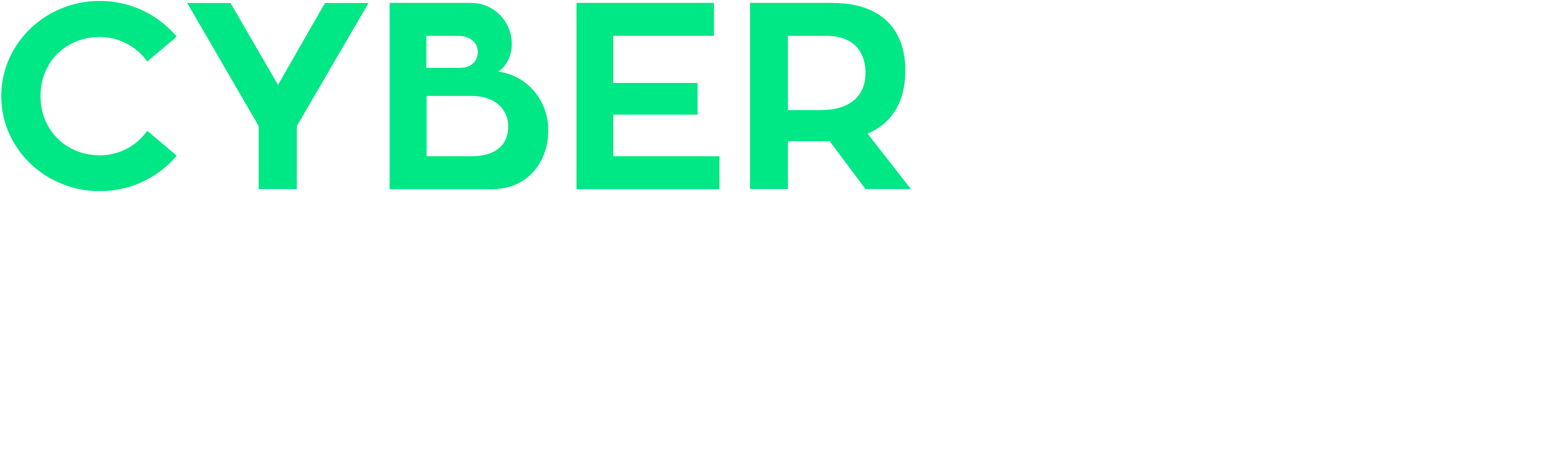 Cyber Resilience