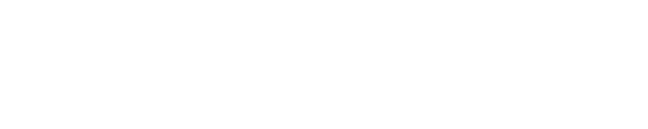 SMARTFENSE